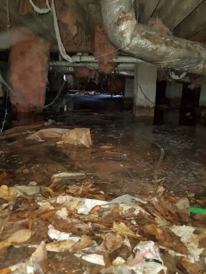 Crawl space flood assessment for Leak Detection & Repair in Creston